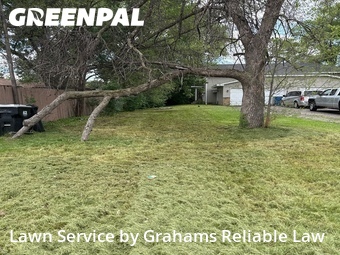 Lawn mowed in Minneapolis, 55433