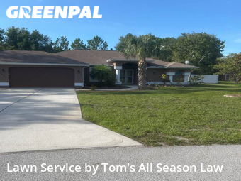 Grass Cut nearby Spring Hill, FL, 