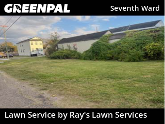 Grass Cutting nearby New Orleans, LA, 