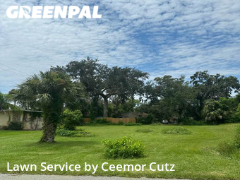 Lawn Care Service nearby Daytona Beach, FL, 