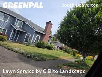Lawn mowed in Beaverton, 97008