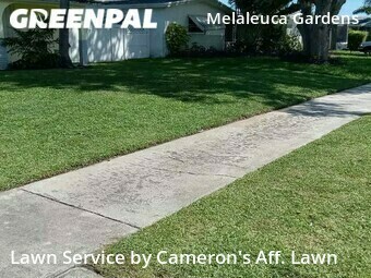 Yard Cutting nearby Dania Beach, FL, 