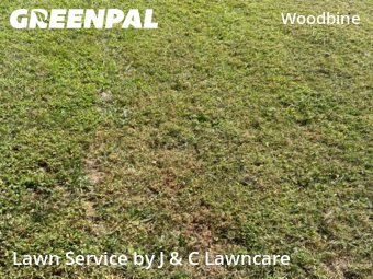 Grass Cut nearby Nashville, TN, 