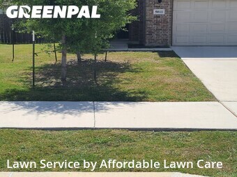 Lawn Care nearby Marion, TX, 