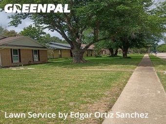 Grass Cuttingin Richardson,75081,Lawn Cutting by Edgar Ortiz Sanchez, work completed in Jun , 2026