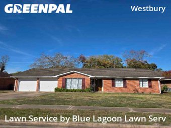 Yard Cuttingin Houston,77035,Lawn Cutting by Blue Lagoon Lawn Serv, work completed in Dec , 2025