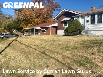 Yard Cutting nearby St. Louis, IL, 