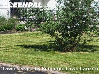 Grass Cut nearby Union, NJ, 