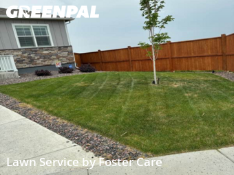 Grass Cutting nearby Longmont, CO, 