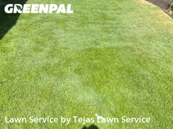 Lawn Maintenance nearby Austin, TX, 