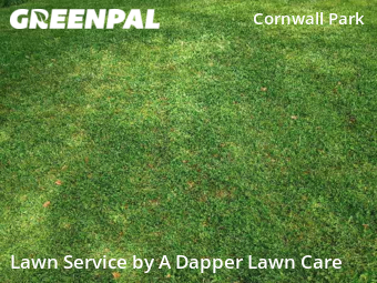 Grass Cutting nearby Bellingham, WA, 