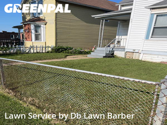 Grass Cut nearby St. Louis, MO, 