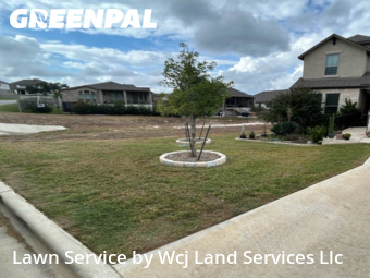 Lawn Care Servicein New Braunfels,78132,Lawn Cutting by Wcj Land Services Llc, work completed in Dec , 2025
