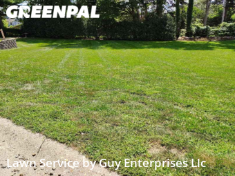 Yard Mowing nearby Cedar Rapids, IA, 