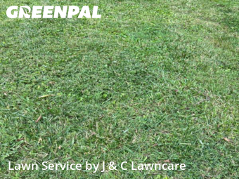 Lawn Cut nearby Fairview, TN, 
