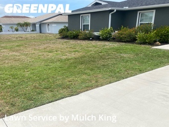 Lawn Cut nearby Punta Gorda, FL, 