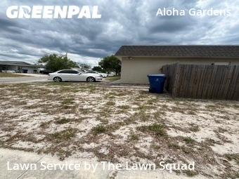 Grass Cut nearby Holiday, FL, 