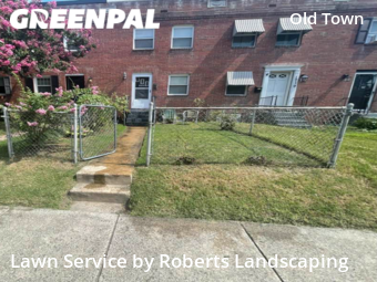 Lawn Mow nearby Alexandria, VA, 