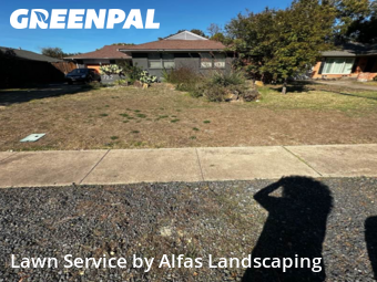 Grass Cuttingin Richardson,75080,Yard Cutting by Alfas Landscaping, work completed in Dec , 2025