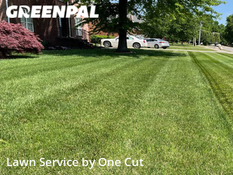 Lawn Service nearby Smyrna, TN, 