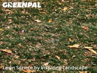Lawn Work in Centennial, 80112, Yard Services by Inspiring Landscape, work completed in Nov , 2025
