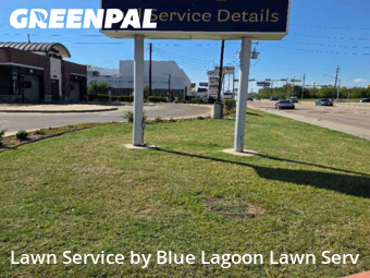 Yard Cuttingin Houston,77082,Lawn Mow by Blue Lagoon Lawn Serv, work completed in Nov , 2025