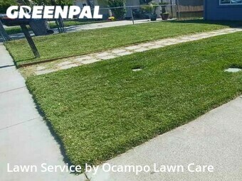 Lawn Mow nearby West Sacramento, CA, 