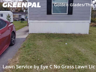 Yard Care Services in Jacksonville, 32250, Weed Trimming by Eye C No Grass Lawn Llc, work completed in Dec , 2025