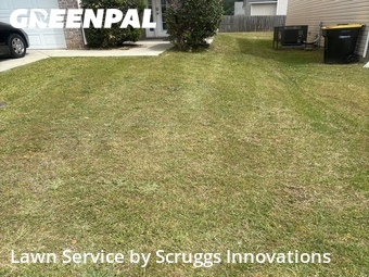 Lawn Mowing nearby Palmetto, GA, 