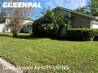 Grass Cut nearby Orlando, FL, 