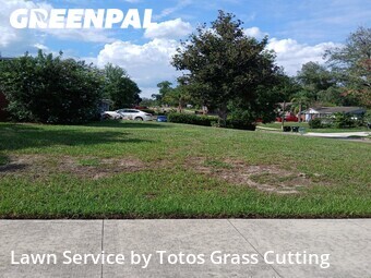 Lawn Mowing Service nearby Apopka, FL, 