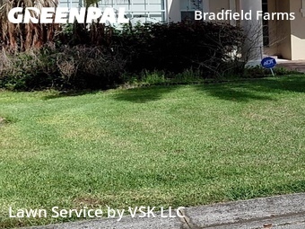 Grass Cut nearby Clermont, FL, 