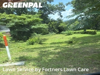 Yard Mowing nearby Birmingham, AL, 