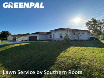 Lawn Cut nearby Palm Coast, FL, 