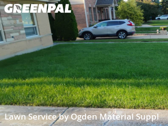 Lawn Cutting nearby Elmhurst, IL, 