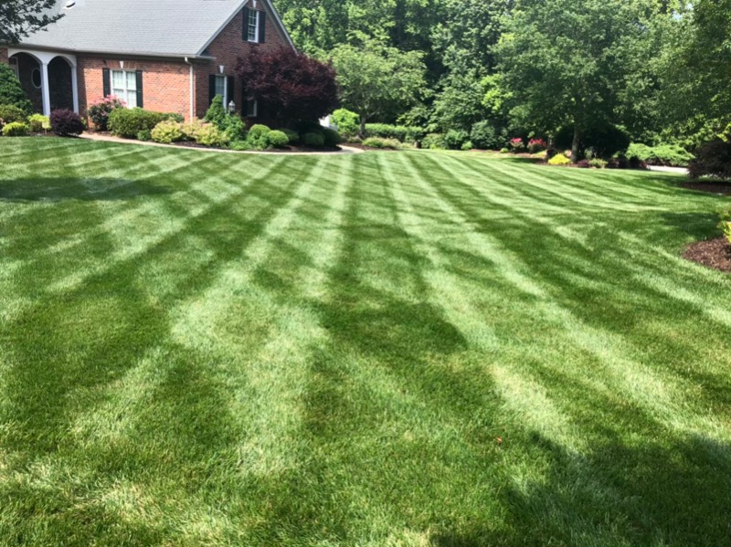 Mohar Brothers Lands Lawn Care Services in Raleigh, NC