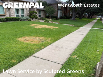 Yard Cutting nearby Plano, TX, 