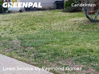 Grass Cut nearby Albuquerque, NM, 