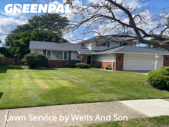 Yard Cutting in Mayfield Heights, 44124, Lawn Care by Wells And Son, work completed in Nov , 2025