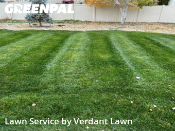 Lawn Mowing nearby Loveland, CO, 