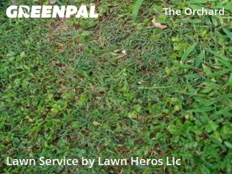 Lawn Mowing Service nearby Greensboro, NC, 