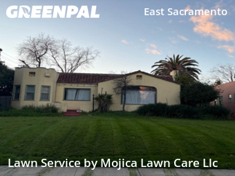 Work completed by grass-cutting-businesses-in-Sacramento-CA