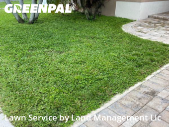 Yard Maintenance in Tamarac, 33321, Yard Grooming by Land Management Llc, work completed in Nov , 2025