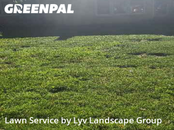 Lawn Cutting nearby Westland, MI, 