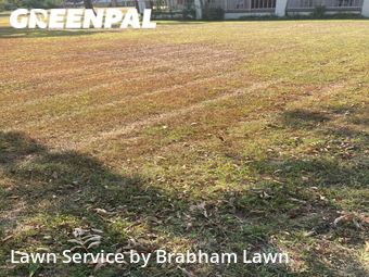 Yard Mowing nearby Gonzales, LA, 