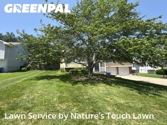 Lawn Mowing Service nearby Lees Summit, MO, 