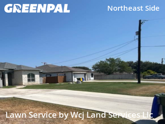 Lawn Upkeep in Selma, 78154, Grass Care by Wcj Land Services Llc, work completed in Oct , 2025