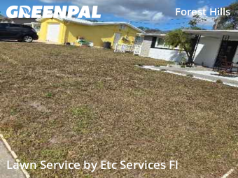 Lawn Mowing in Holiday, 34690, Yard Services by Etc Services Fl, work completed in Nov , 2025