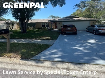 Lawn Care Servicein Oldsmar,34677,Grass Cutting by Special Touch Enterp, work completed in Jun , 2026