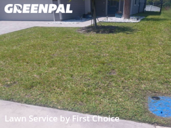 Grass Cutting nearby St. Augustine, FL, 